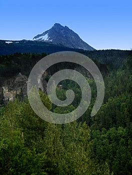 Tongass National Forest