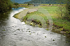 Tongass National Forest, Sitka Alaska