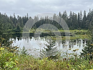 Tongass National Forest at the top of Hoonah Mountain in Icy Strait, Alaska