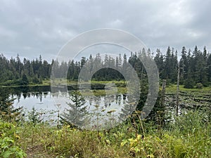 Tongass National Forest at the top of Hoonah Mountain in Icy Strait, Alaska