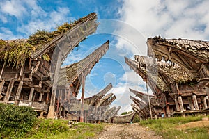 Tongkonan houses, Tana Toraja, Sulawesi