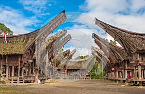 Tongkonan houses, traditional Torajan buildings, Tana Toraja