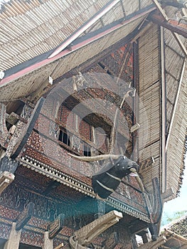 Tongkonan traditional house where corpses are preserved photo