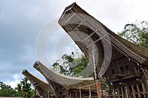 Tongkonan and traditional houses.