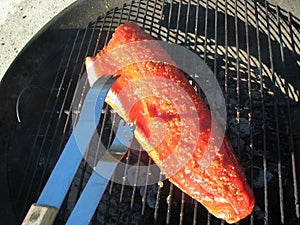 Tongs with Copper River Salmon photo