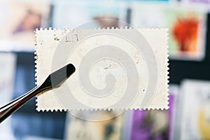 tongs holds postage stamp with unused back side