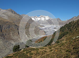 Tongue Of The Aletschgletscher