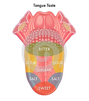 Tongue taste