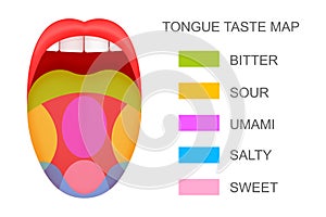 Tongue with taste receptors map sticking out from open mouth. Five flavor zones. Pseudoscientific theory of human taste