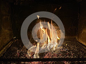 Tongues of fire pass through the grill net