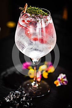 tonic gin beverage with fresh natural fruits & spices