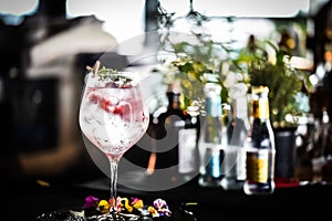 tonic gin beverage with fresh natural fruits & spices