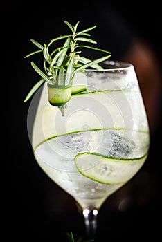 tonic gin beverage with fresh natural fruits & spices