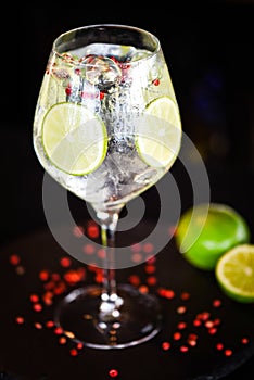 tonic gin beverage with fresh natural fruits & spices