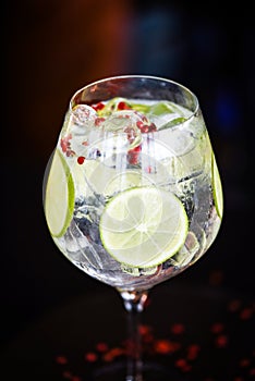 tonic gin beverage with fresh natural fruits & spices