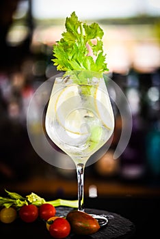 tonic gin beverage with fresh natural fruits & spices - celery & lemon