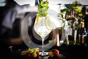 tonic gin beverage with fresh natural fruits & spices - celery & lemon