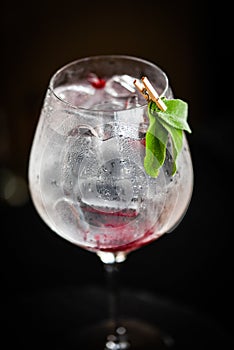 tonic gin beverage with fresh natural fruits & spices - cranberries