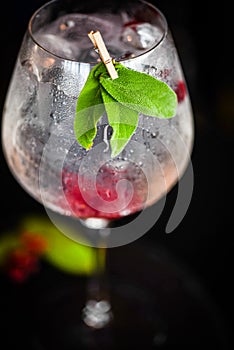 tonic gin beverage with fresh natural fruits & spices - cranberries