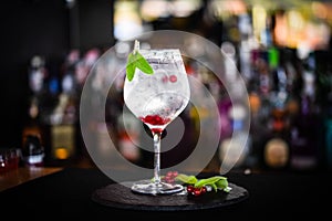 tonic gin beverage with fresh natural fruits & spices - cranberries