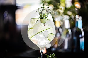 tonic gin beverage with fresh natural fruits & spices - cucumber slices & rosemary