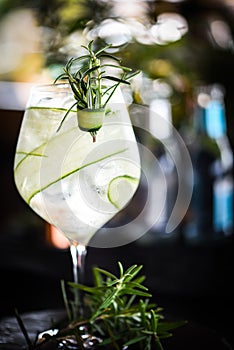 tonic gin beverage with fresh natural fruits & spices - cucumber slices & rosemary