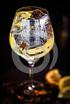 tonic gin beverage with fresh natural fruits & spices - lemon slices & anise 