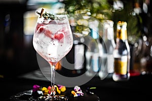 tonic gin beverage with fresh natural fruits & spices - red berries