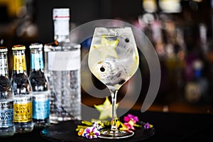 tonic gin beverage with fresh natural fruits & spices - star fruit & blackberries