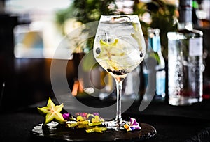 tonic gin beverage with fresh natural fruits & spices - star fruit & blackberries