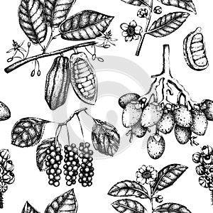 Vector background with tonic and spicy plants. Hand drawn seamless pattern with spices illustrations. Vintage aromatic elements. S