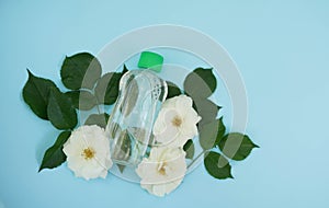 Tonic water on blue background with white flowers roses, copy space, natural organic cosmetics, body care