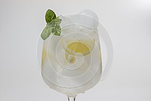 Tonica with gin, ice and mint