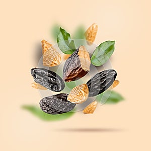 Tonka beans and green leaves float on a beige background. Flying Dipteryx odorata is known as tonka beans for pastry,