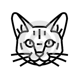 tonkinese cat cute pet line icon vector illustration