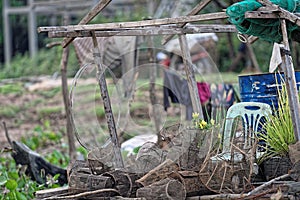 Tonle Sap Village, Cambodia