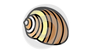 tonna sea shell beach color icon animation
