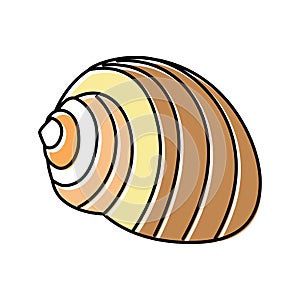 tonna sea shell beach color icon vector illustration