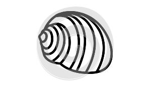 tonna sea shell beach line icon animation