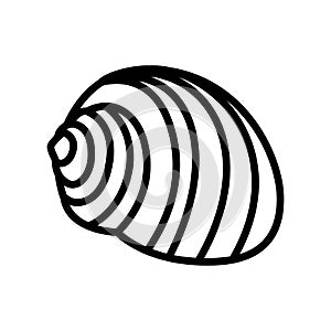 tonna sea shell beach line icon vector illustration