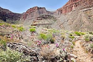 Tonto East Trail photo