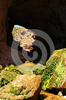 Tonto National Forest Arizona