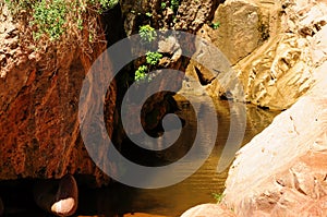 Tonto National Forest Arizona