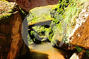 Tonto National Forest Arizona