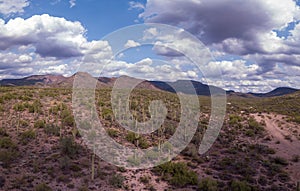 Tonto National Forest in Arizona with Native American ruins, Hohokam, Hillfort, Petroglyphs