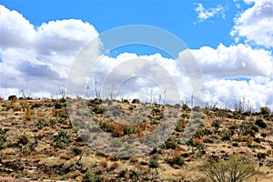 Tonto National Forest, Arizona U.S. Department of Agriculture