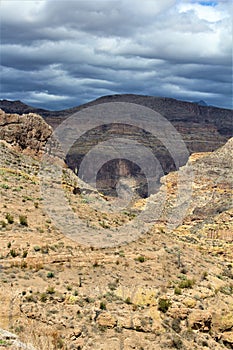 Tonto National Forest, Arizona U.S. Department of Agriculture