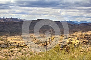 Tonto National Forest, Arizona U.S. Department of Agriculture