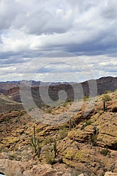 Tonto National Forest, Arizona U.S. Department of Agriculture