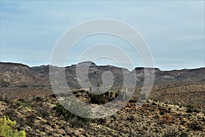 Tonto National Forest, Arizona U.S. Department of Agriculture